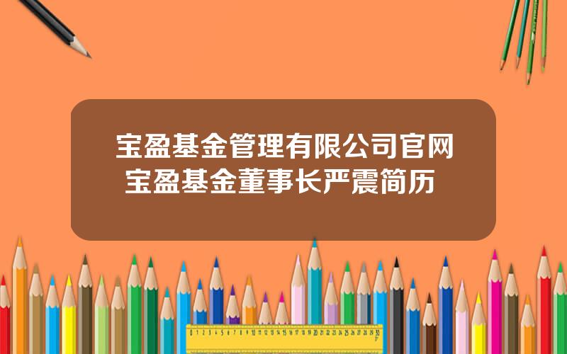 宝盈基金管理有限公司官网 宝盈基金董事长严震简历